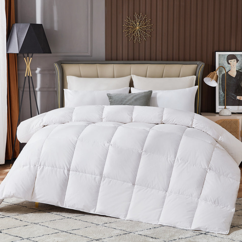 Leeden White Down Alternative Comforter Queen All Season Quilted Bed Comforter Lightweight Duvet Insert with Corner Tabs for Winter Soft and Machine Washable (Queen White)